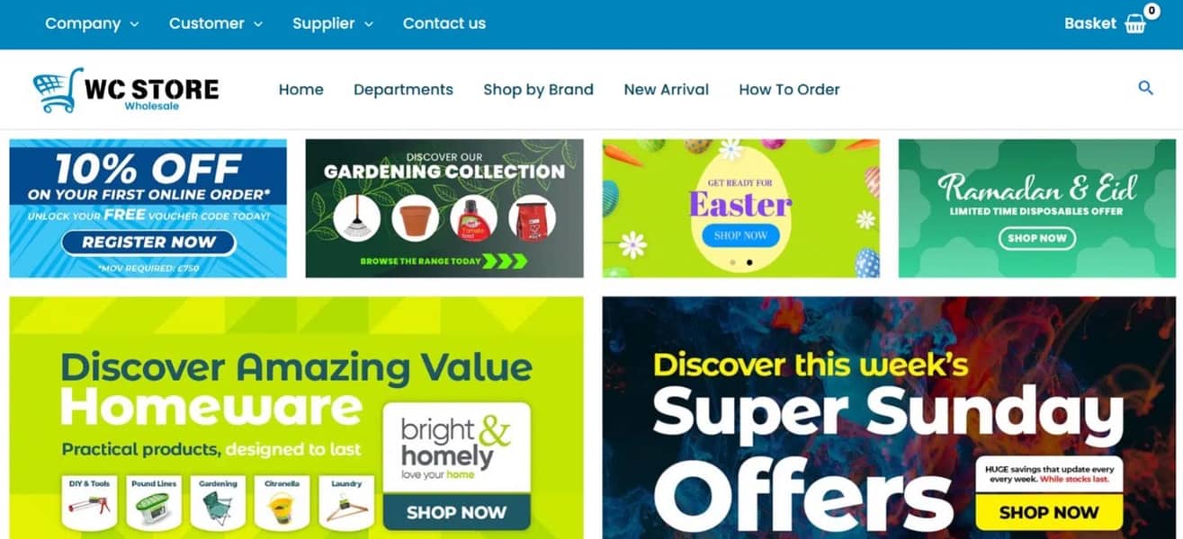 Professional Web Development Services 8