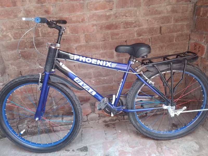 bicycle 0