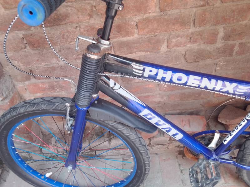 bicycle 2