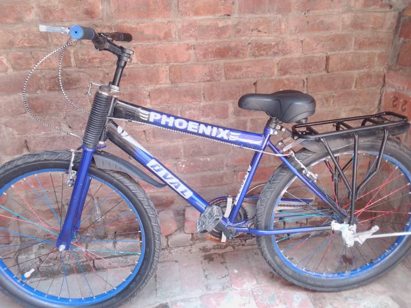 bicycle 4