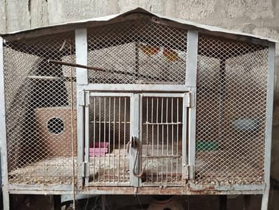 Iron Cage / Pinjra