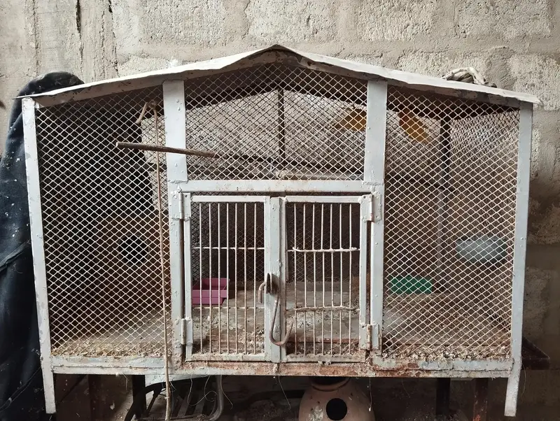 Iron Cage / Pinjra — photo 4