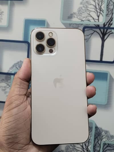 Apple iPhone 12 Pro Max