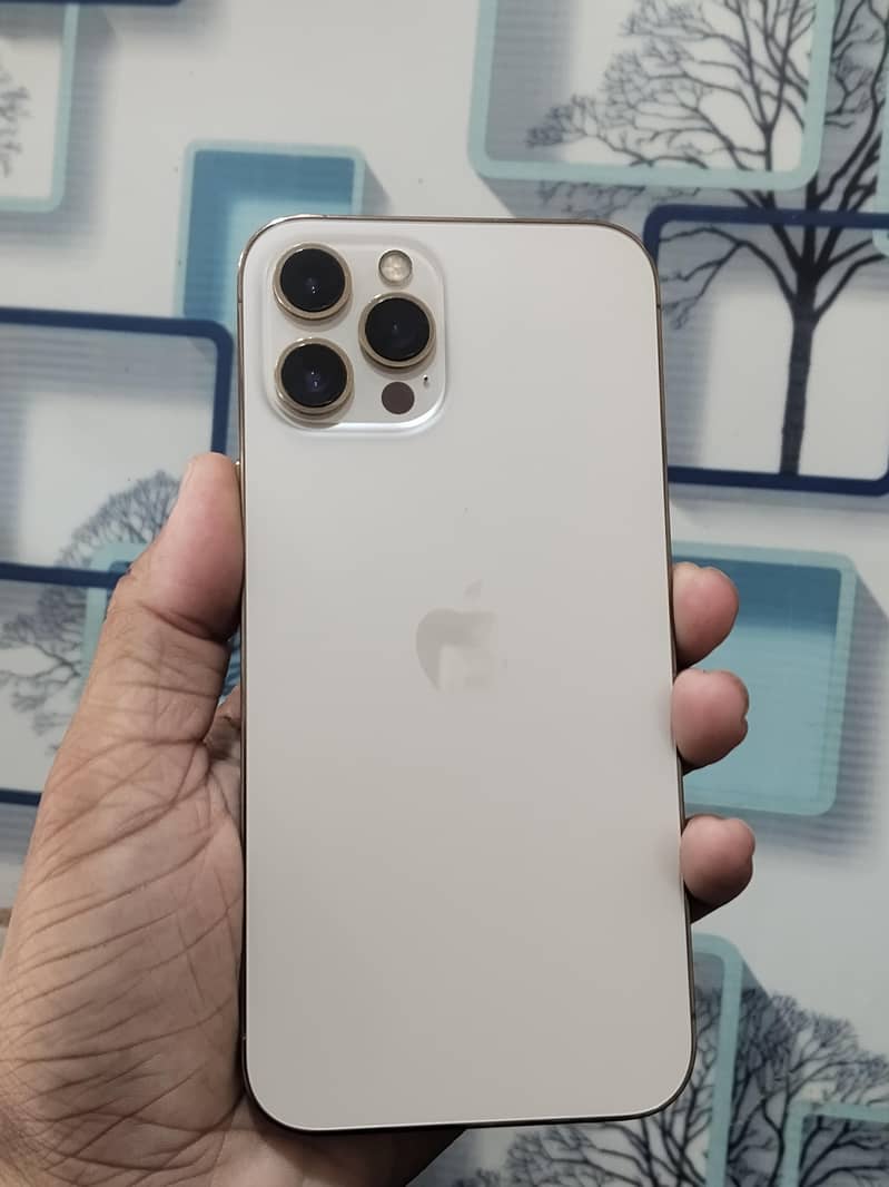 Apple iPhone 12 Pro Max 0