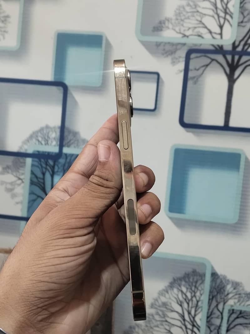 Apple iPhone 12 Pro Max 1
