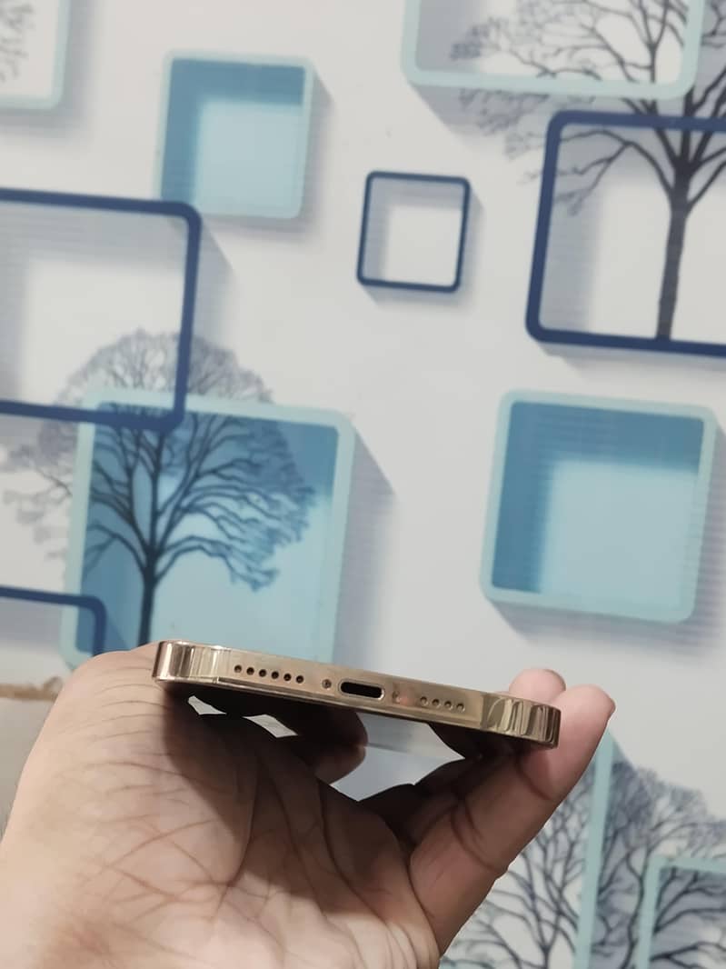 Apple iPhone 12 Pro Max 2