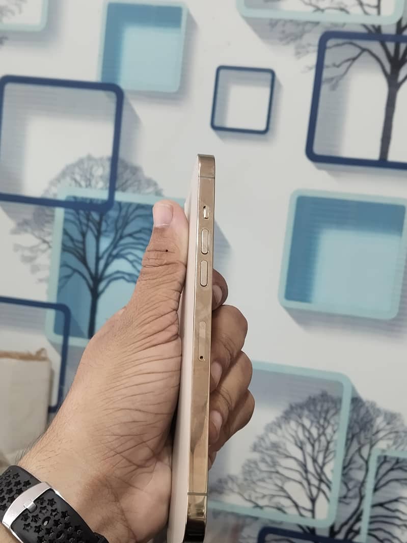 Apple iPhone 12 Pro Max 3