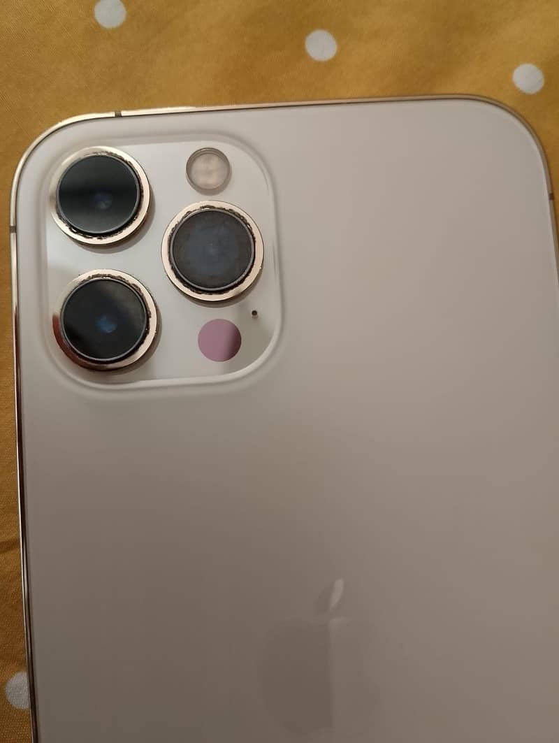 Apple iPhone 12 Pro Max 2