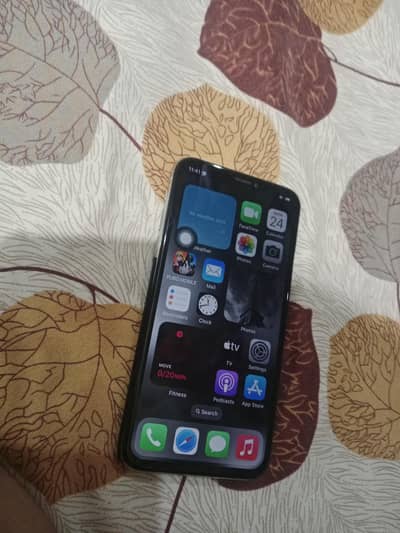 Apple iPhone X