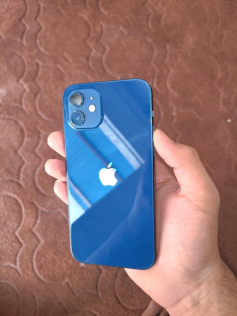 IPhone 12 JV 2