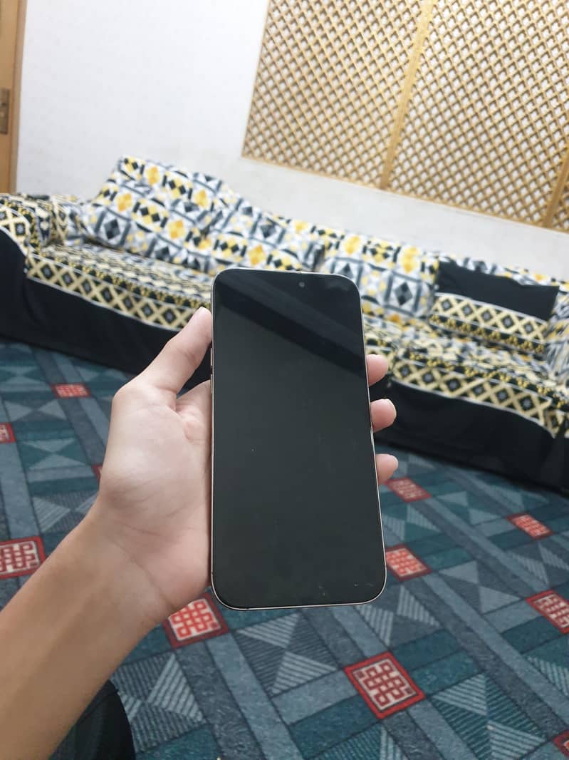 Apple iPhone 16 Pro Max 1