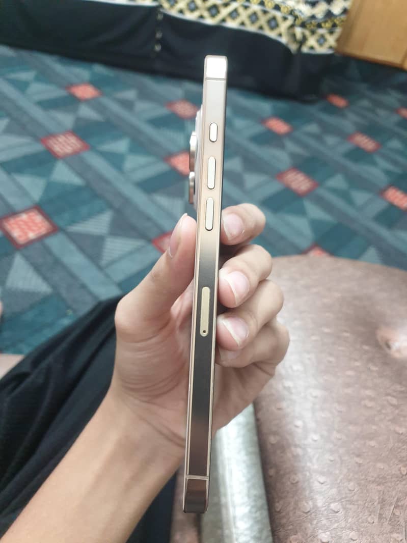 Apple iPhone 16 Pro Max 2
