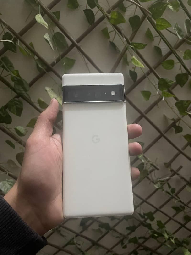 Google Pixel 6 Pro 1
