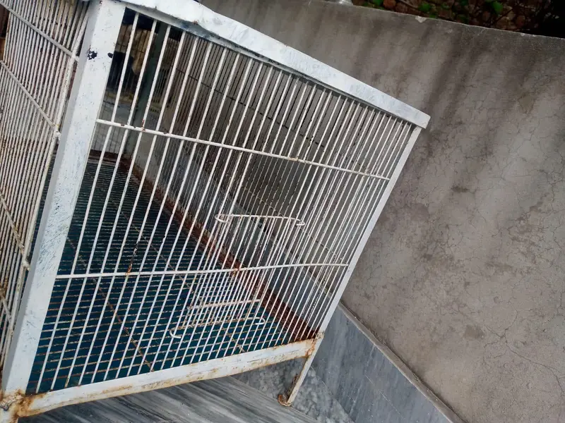 Solid Iron cage for sale. — photo 2