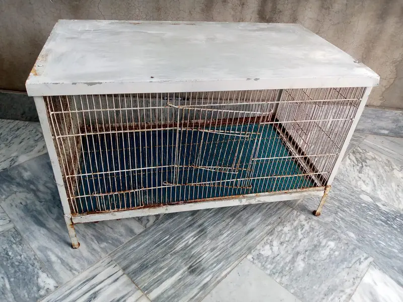 Solid Iron cage for sale. — photo 3