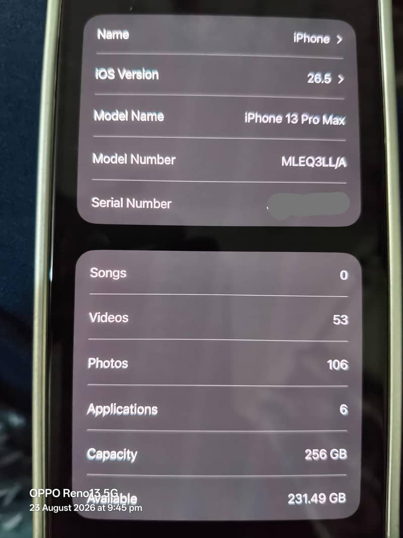 Apple iPhone 13 Pro Max 2