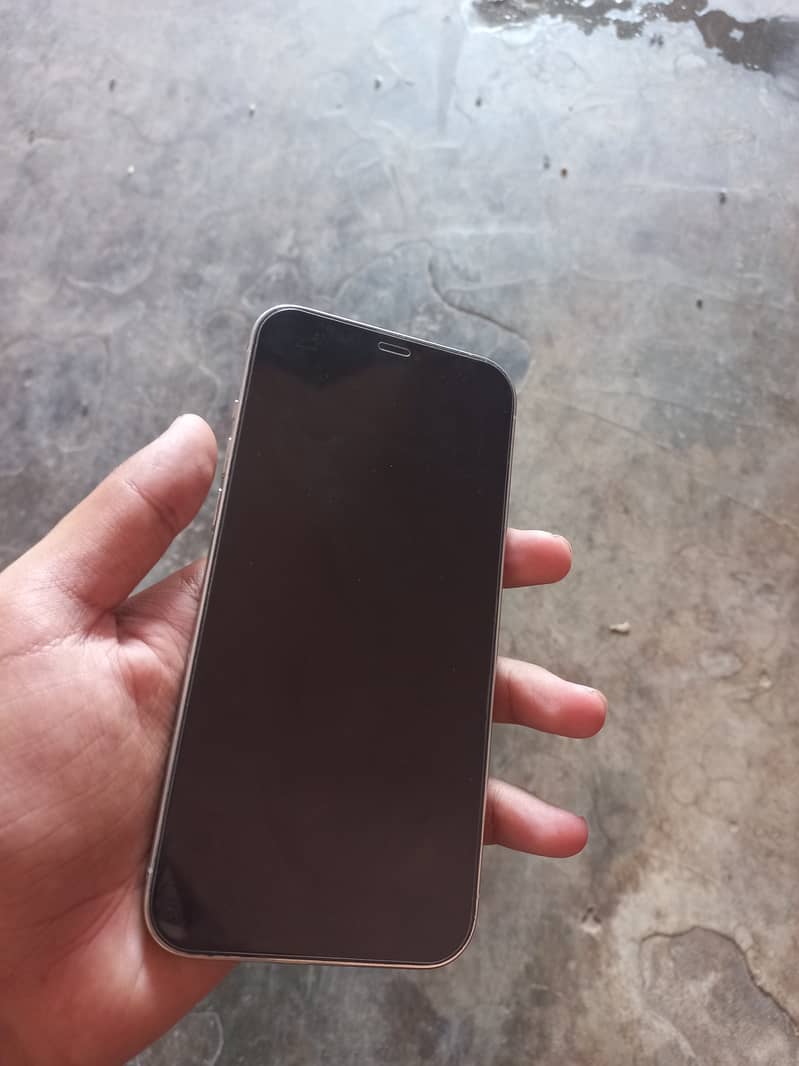Apple iPhone 12 Pro Max 1