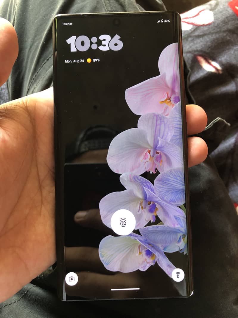 Google Pixel 6 Pro 0