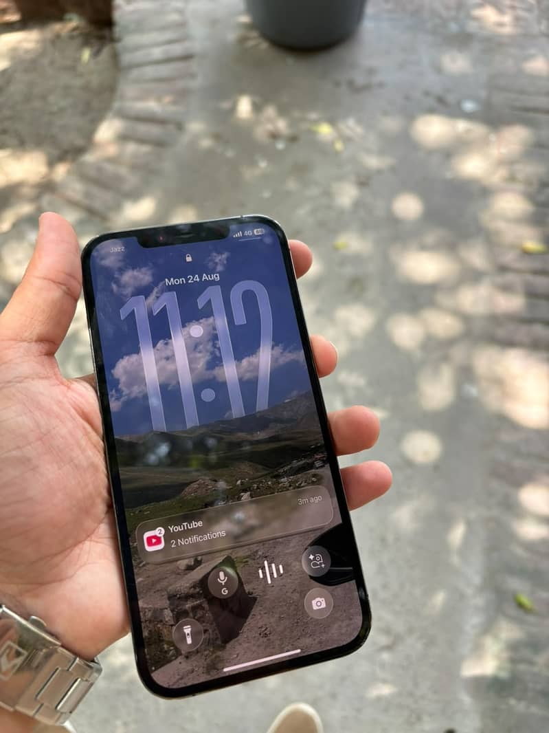 Apple iPhone 12 Pro Max 2