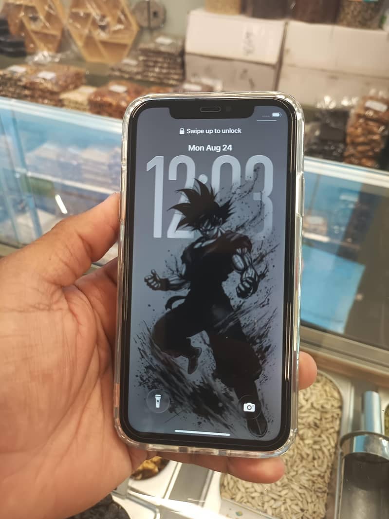 iphone 11 0