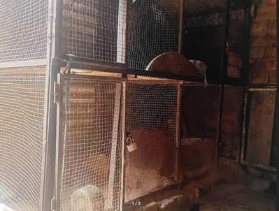 hens cage