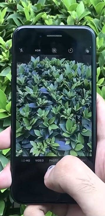 Apple iPhone 7 1