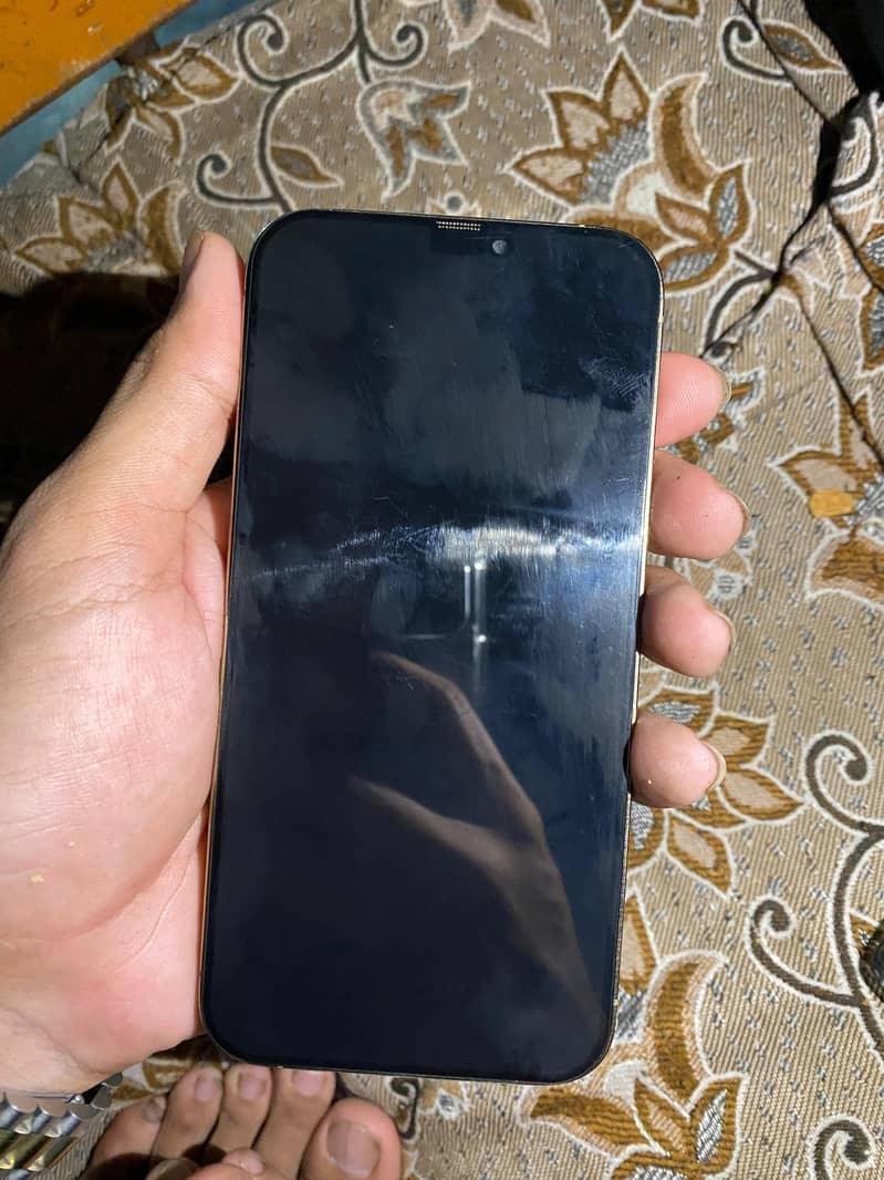 Apple iPhone 12 Pro 1