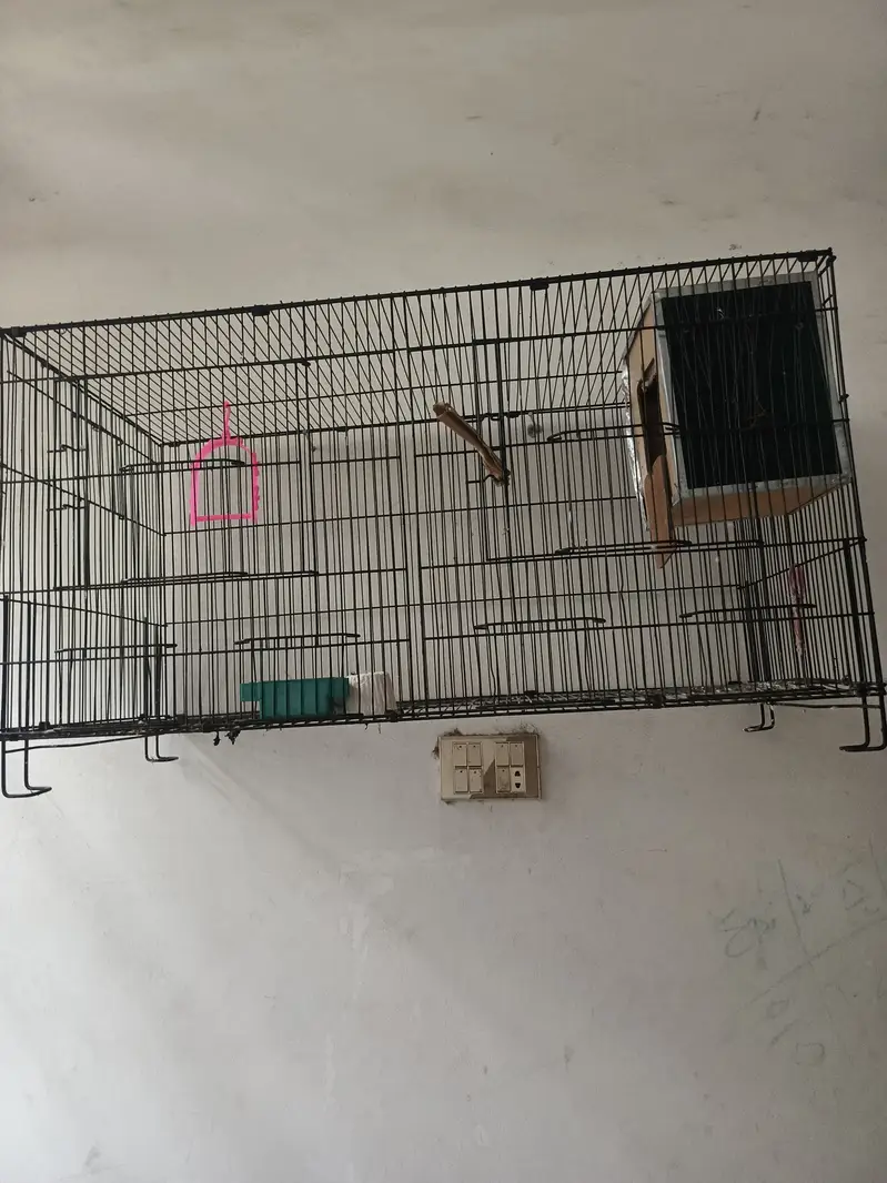​2 Portion Heavy Duty Bird Cage with Breeding Boxes for Sale — photo 2