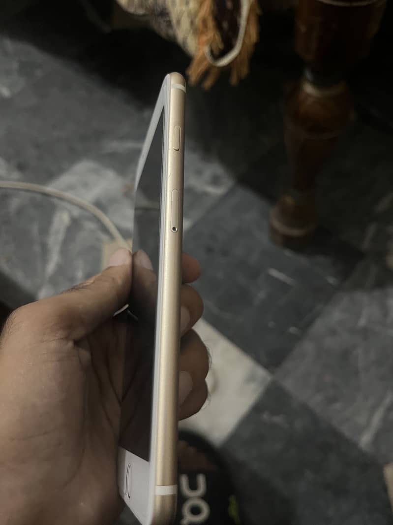 Apple iPhone 7 Plus 1