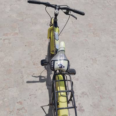 china cycle imported