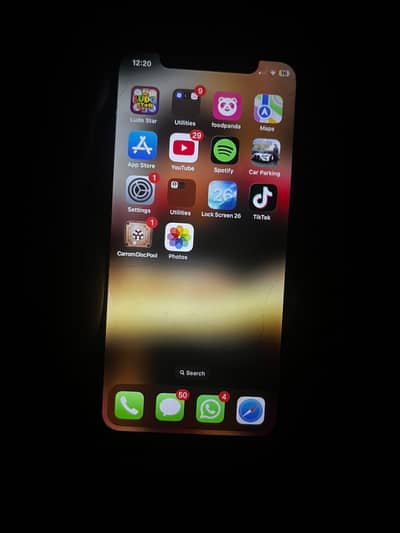 Apple iPhone X