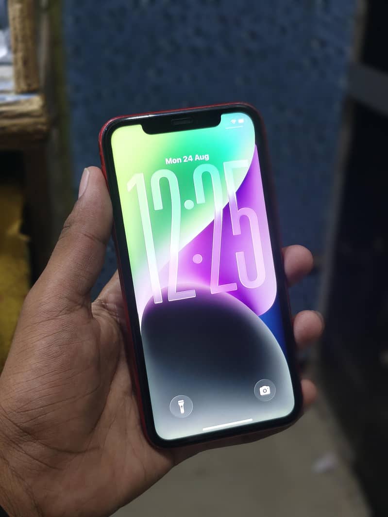 iPhone 11 0
