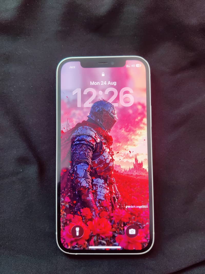 Apple iPhone 12 0