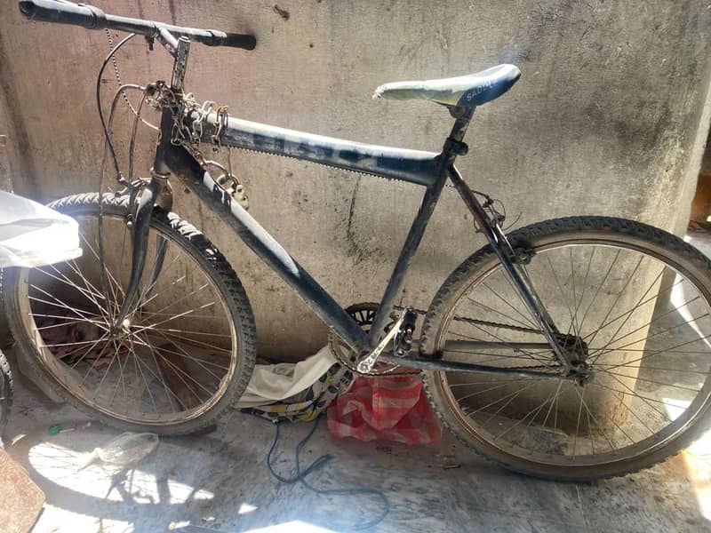 Full size cycle 2