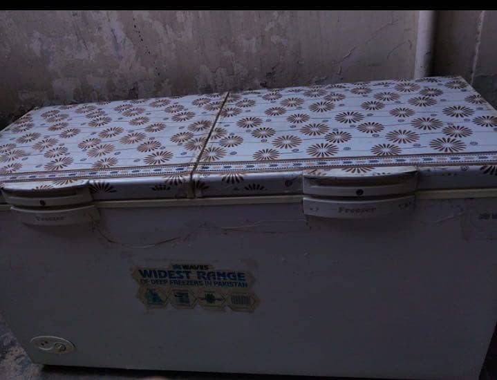 Waves 2 door  freezer 6