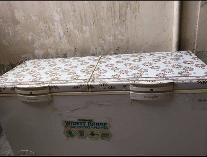 Waves 2 door  freezer 8