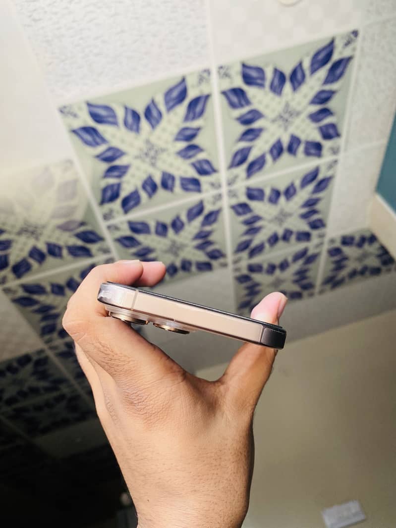 Apple iPhone 16 Pro Max 10