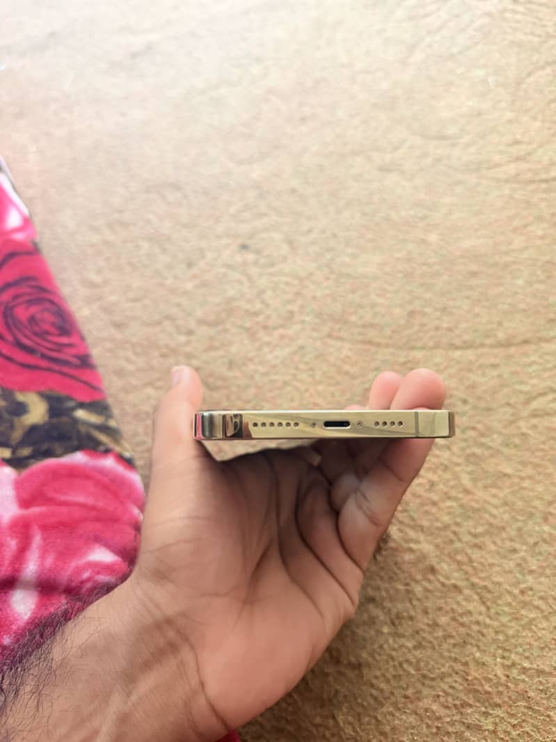 Apple iPhone 13 Pro Max 1