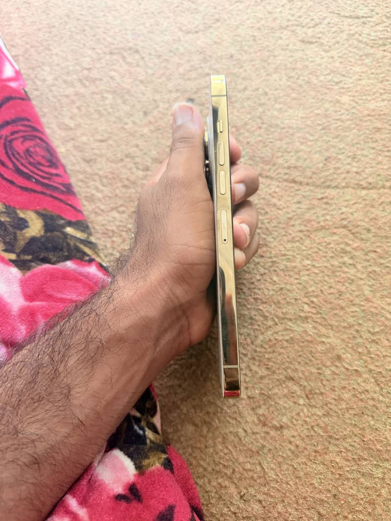 Apple iPhone 13 Pro Max 2