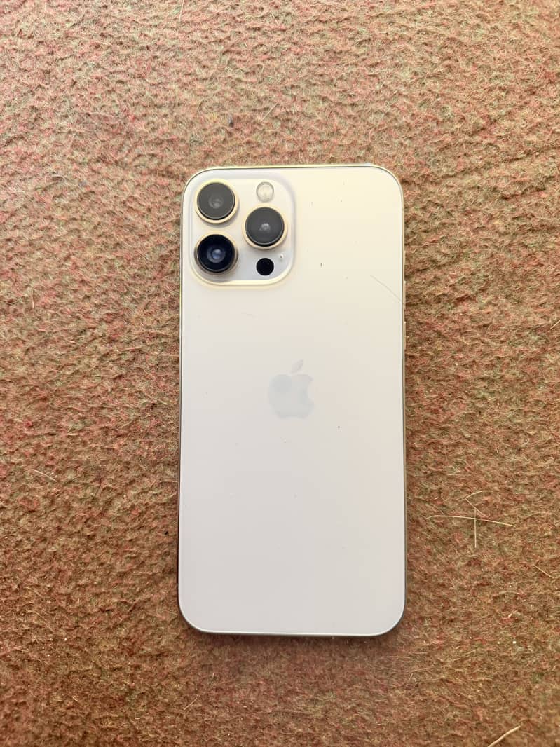 Apple iPhone 13 Pro Max 0