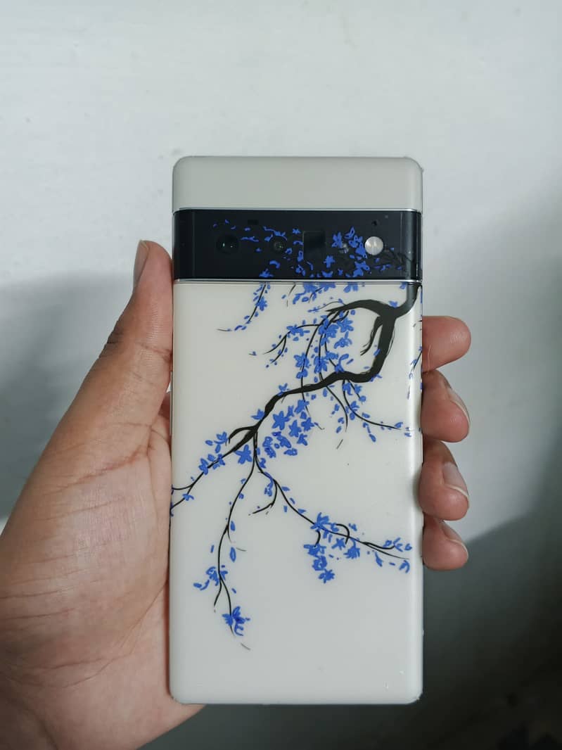Google Pixel 6 Pro 0