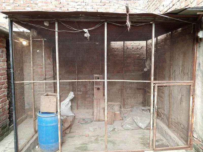 03054093956 bird cages,boxes ,machine — photo 2