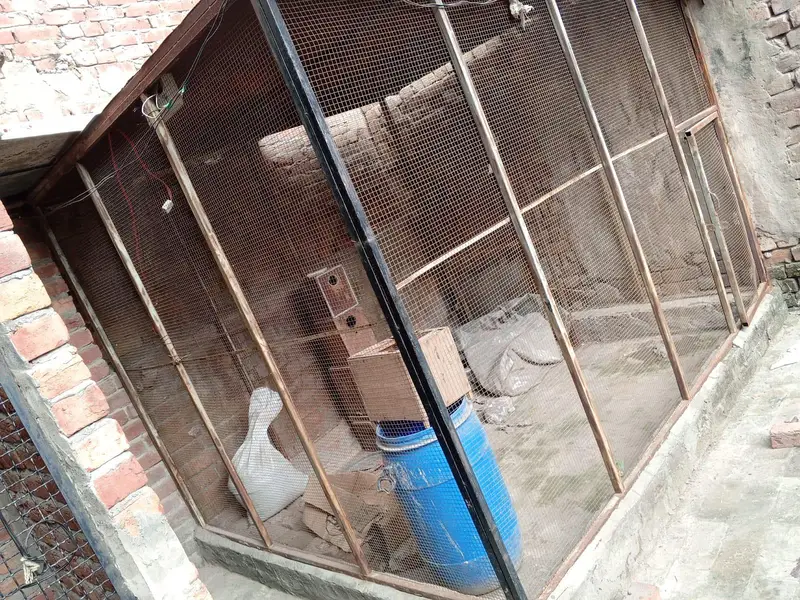 03054093956 bird cages,boxes ,machine — photo 3