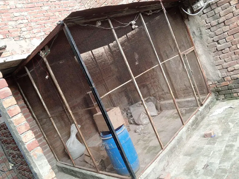 03054093956 bird cages,boxes ,machine — photo 4