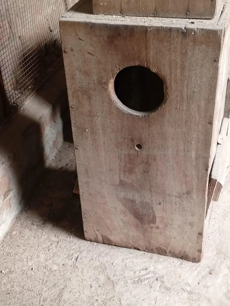 03054093956 bird cages,boxes ,machine — photo 7