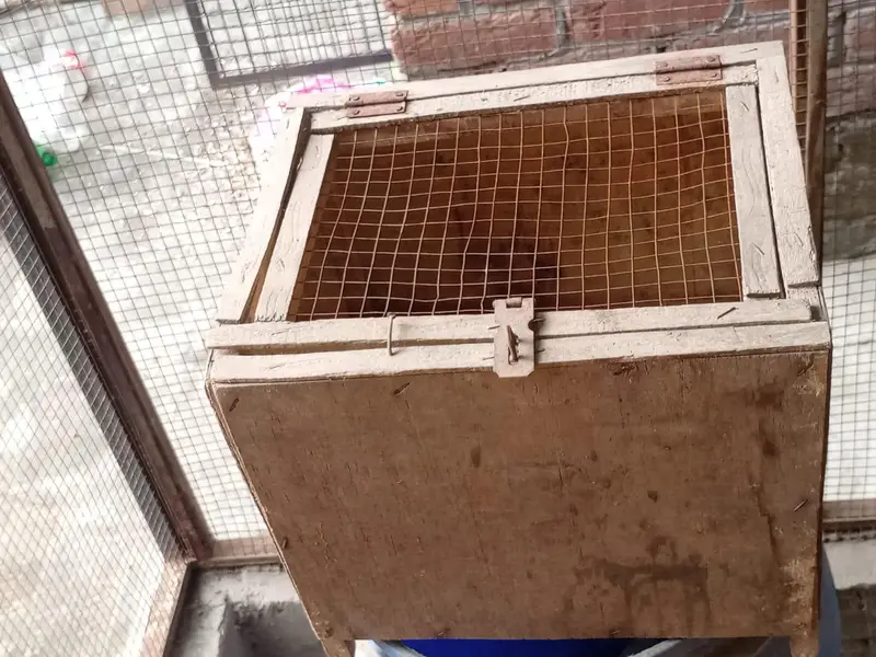 03054093956 bird cages,boxes ,machine — photo 10