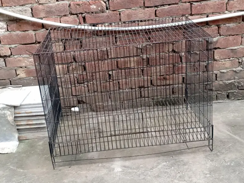 03054093956 bird cages,boxes ,machine — photo 11