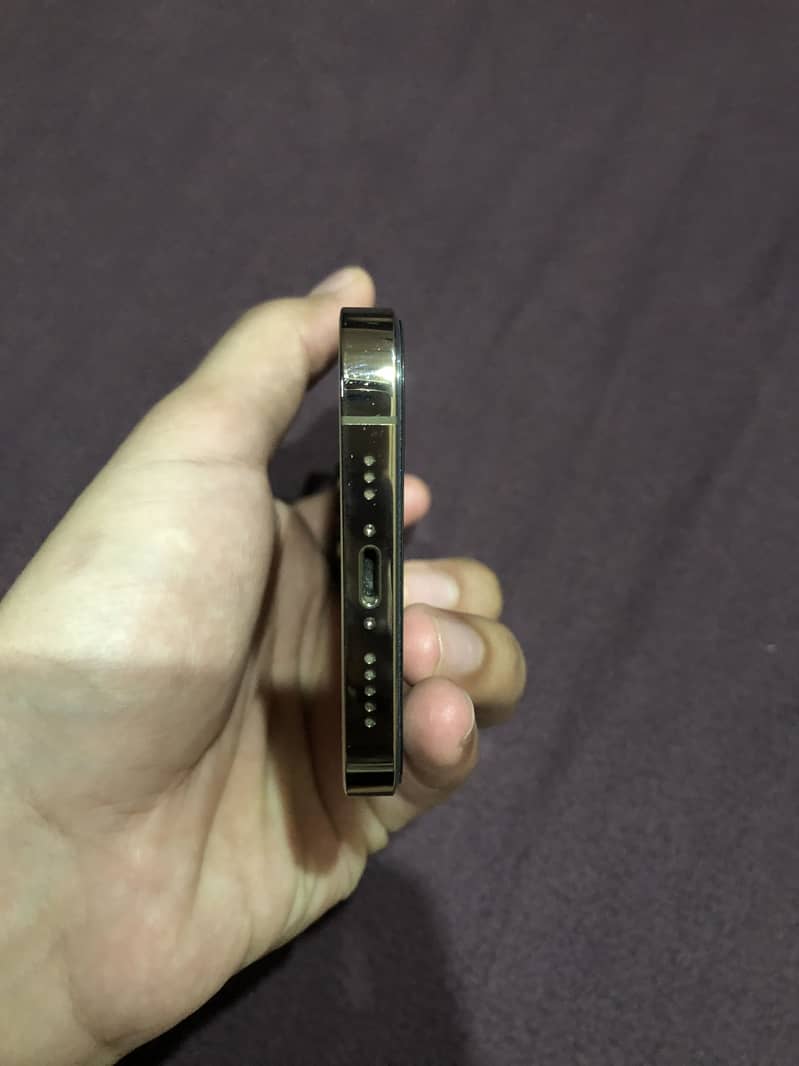 Apple iPhone 13 Pro 0