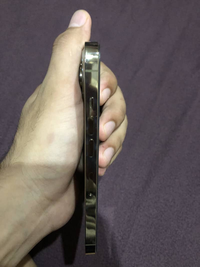 Apple iPhone 13 Pro 2
