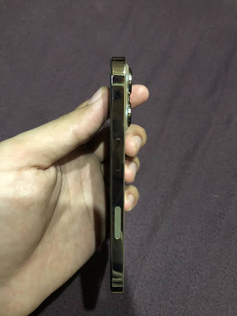 Apple iPhone 13 Pro 3
